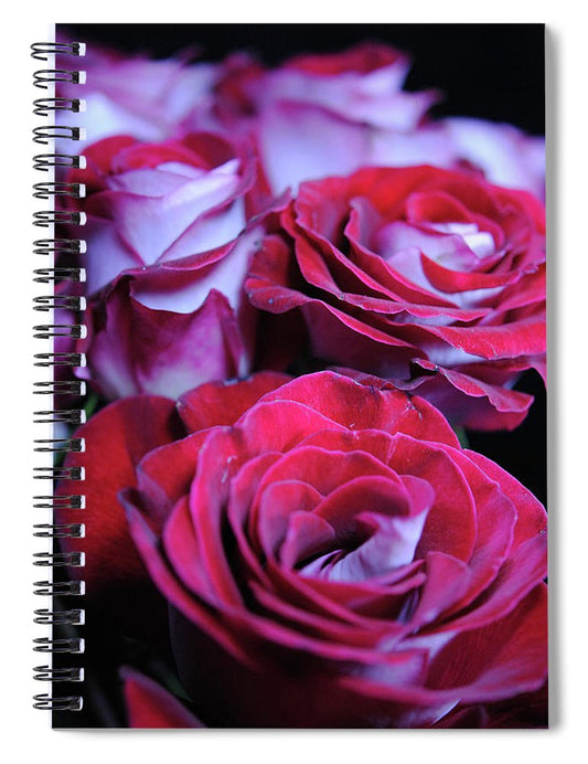 Latin Dancer Rose Group - Spiral Notebook