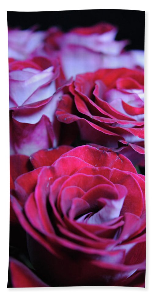 Latin Dancer Rose Group - Beach Towel