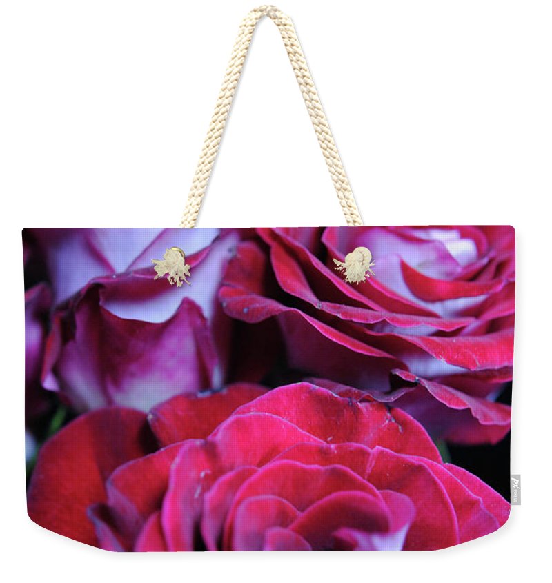 Latin Dancer Rose Group - Weekender Tote Bag