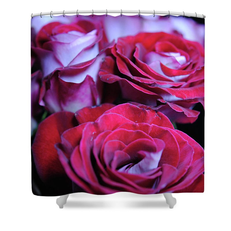 Latin Dancer Rose Group - Shower Curtain