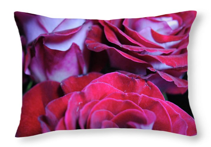 Latin Dancer Rose Group - Throw Pillow