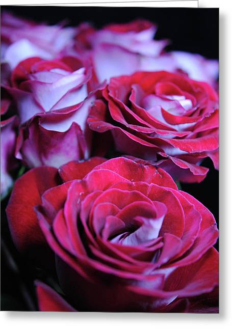 Latin Dancer Rose Group - Greeting Card