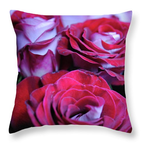 Latin Dancer Rose Group - Throw Pillow