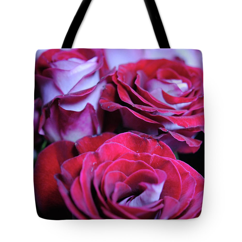 Latin Dancer Rose Group - Tote Bag