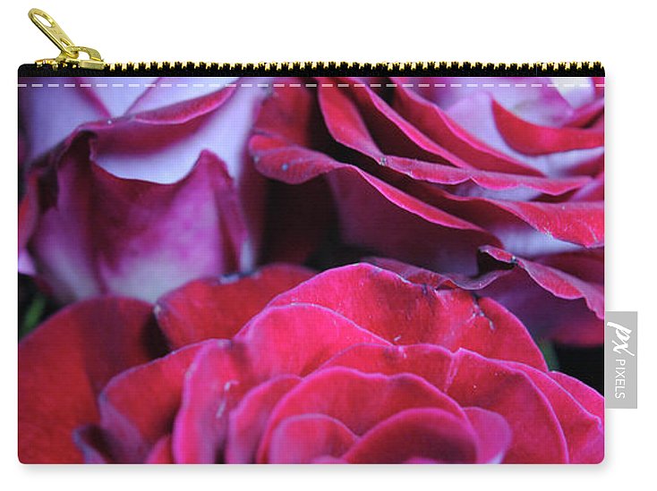 Latin Dancer Rose Group - Carry-All Pouch