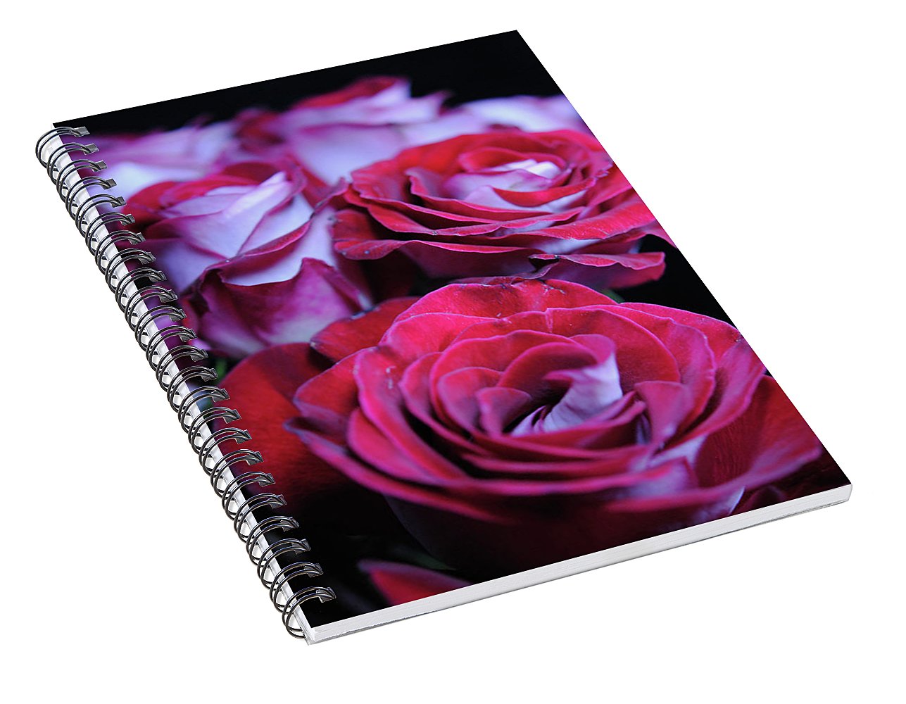 Latin Dancer Rose Group - Spiral Notebook