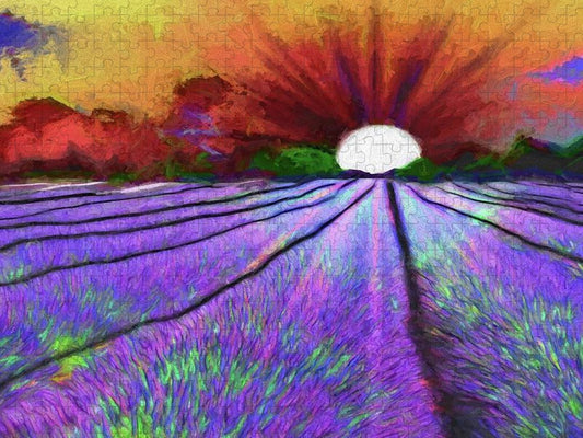 Lavender Field Sunrise - Puzzle