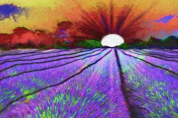 Lavender Field Sunrise - Art Print