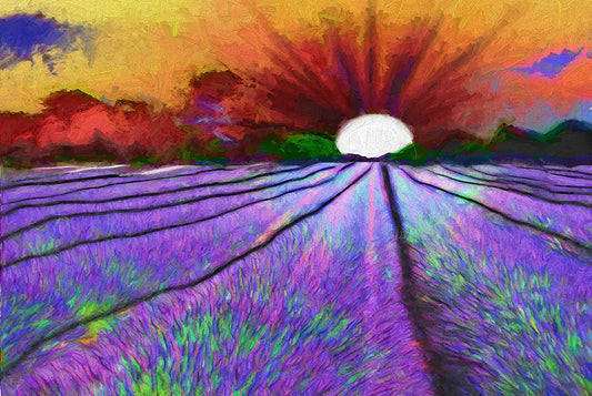 Lavender Field Digital Image Download