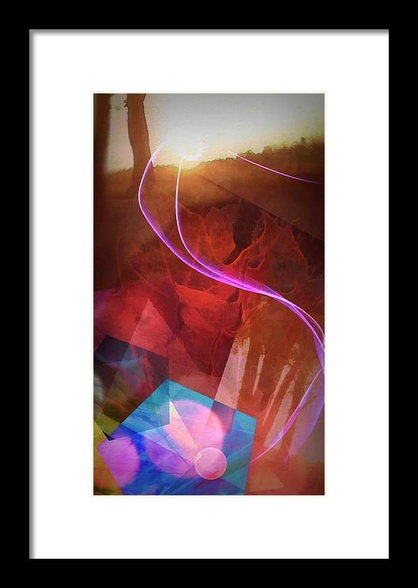 Leaf In A Sunlight Stream - Framed Print