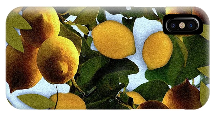 Lemon Tree - Phone Case