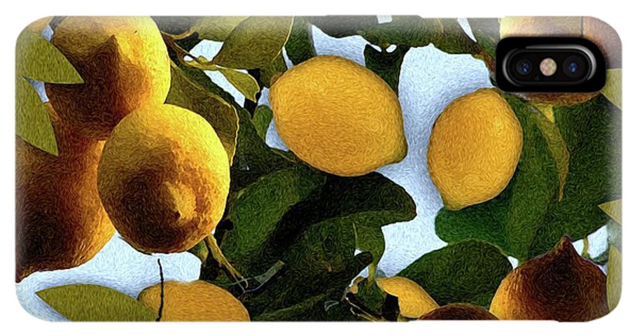 Lemon Tree - Phone Case