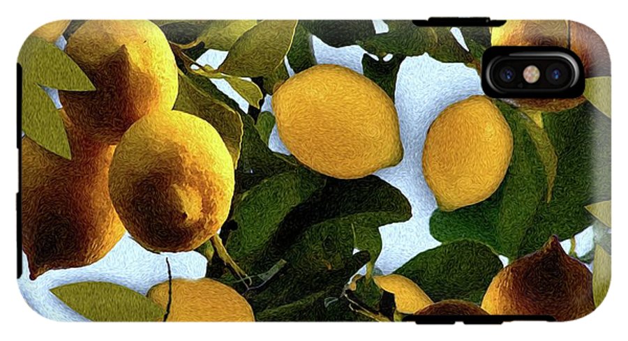 Lemon Tree - Phone Case