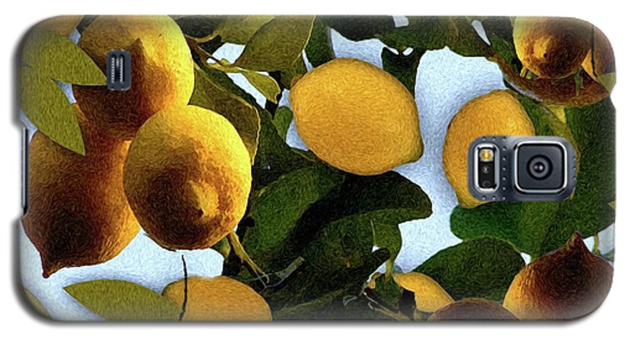 Lemon Tree - Phone Case