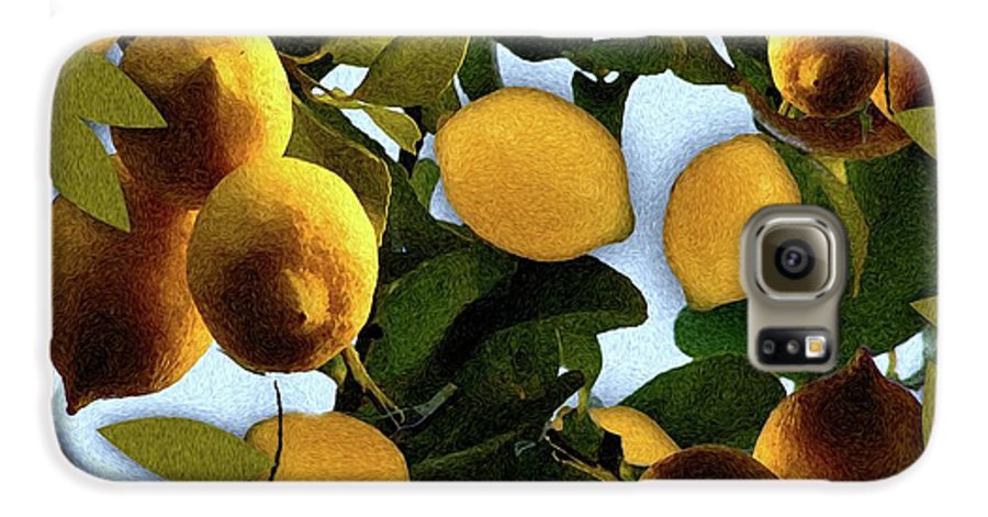 Lemon Tree - Phone Case