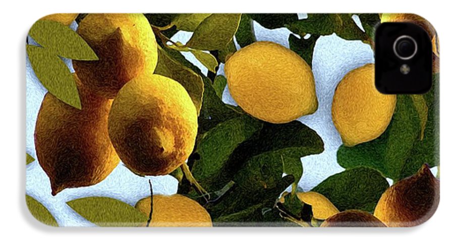 Lemon Tree - Phone Case