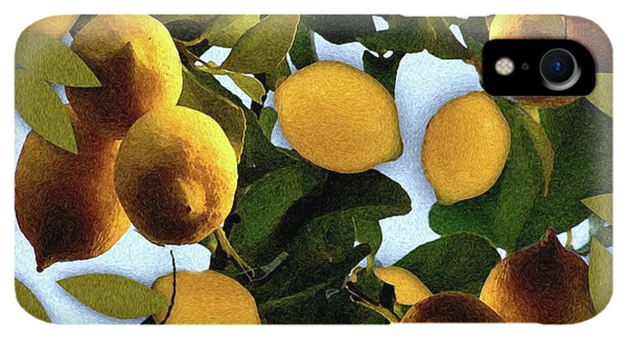 Lemon Tree - Phone Case