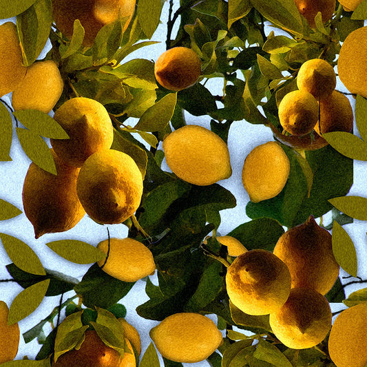 Lemon Tree Digital Image Download