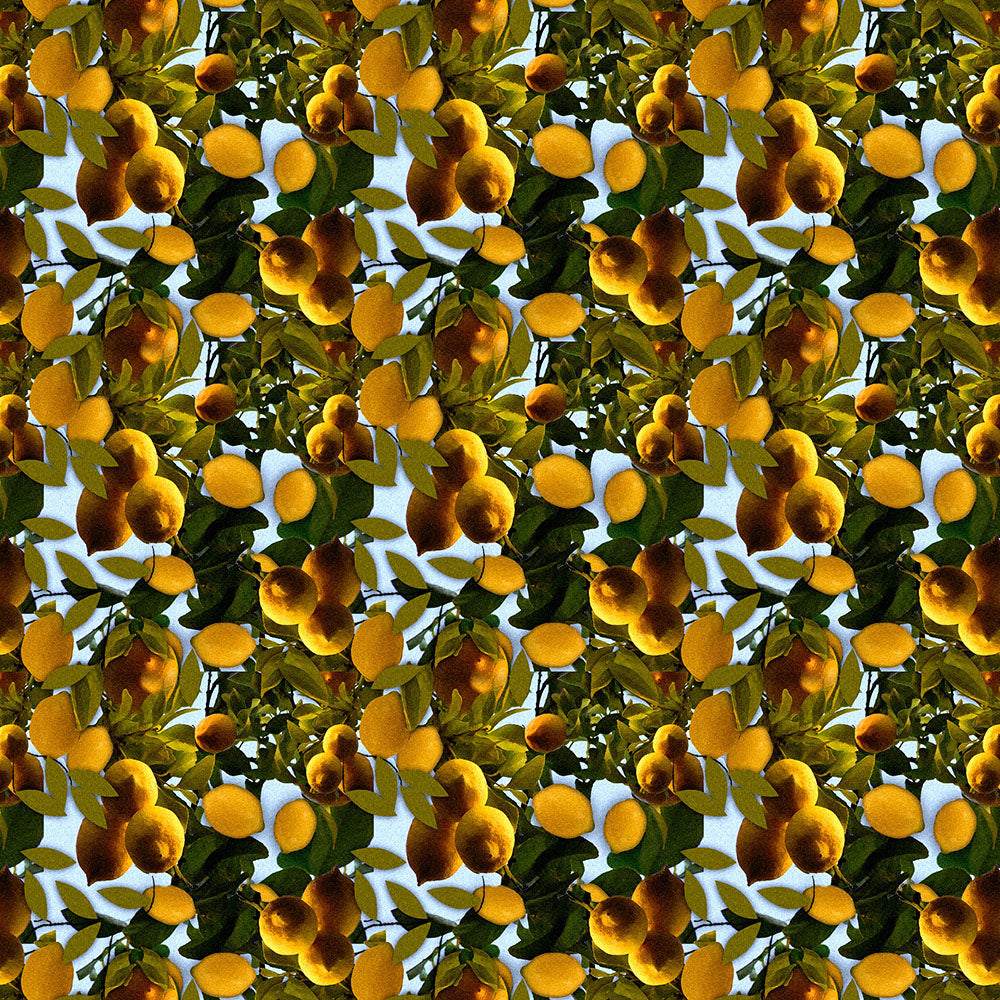 Lemon Tree Pattern Digital Image Download