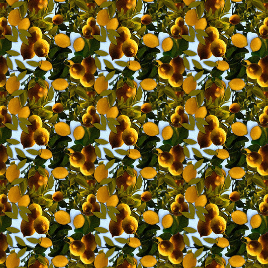 Lemon Tree Pattern Digital Image Download