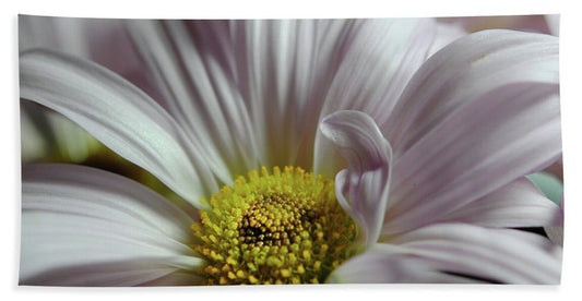 Light Lavender Daisies - Beach Towel