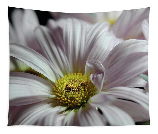 Light Lavender Daisies - Tapestry