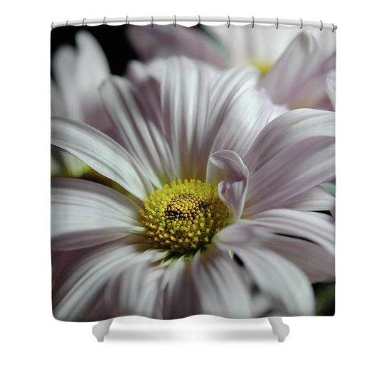 Light Lavender Daisies - Shower Curtain