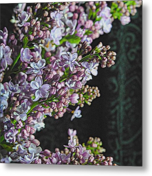 Light Lavender Lilacs - Metal Print