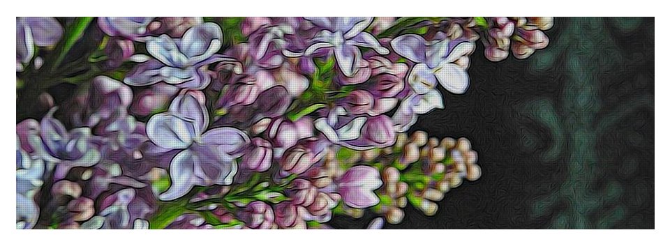 Light Lavender Lilacs - Yoga Mat