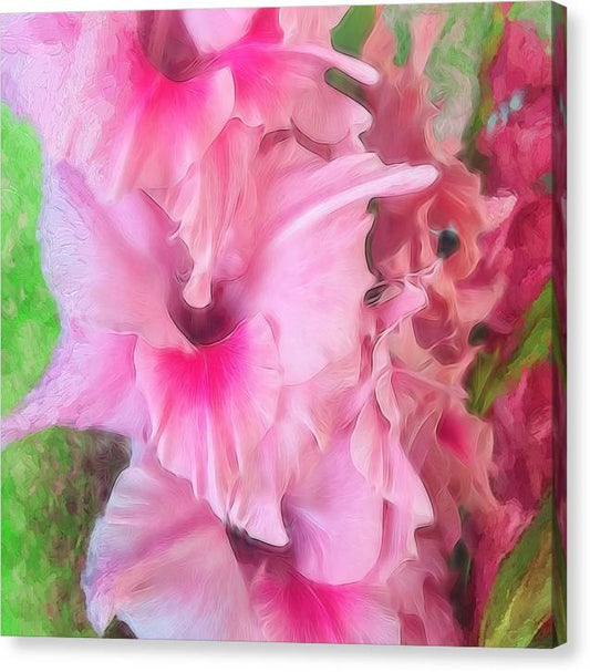 Light Pink Gladiolas - Canvas Print