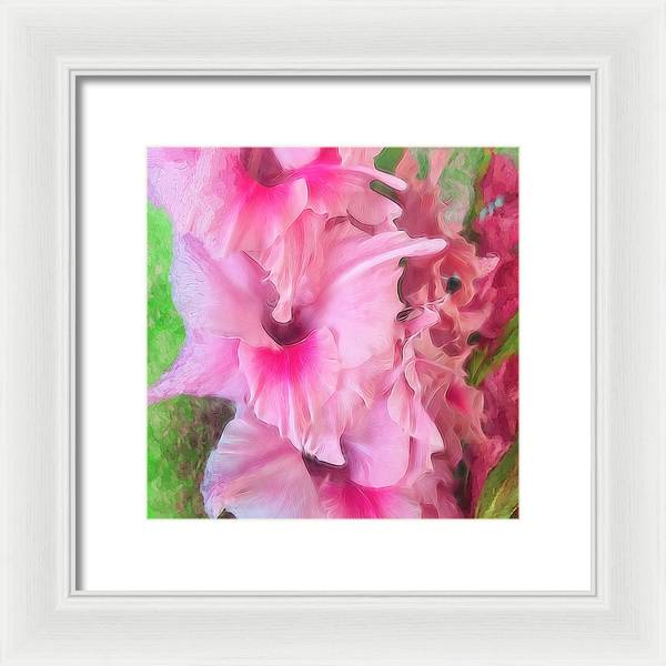 Light Pink Gladiolas - Framed Print