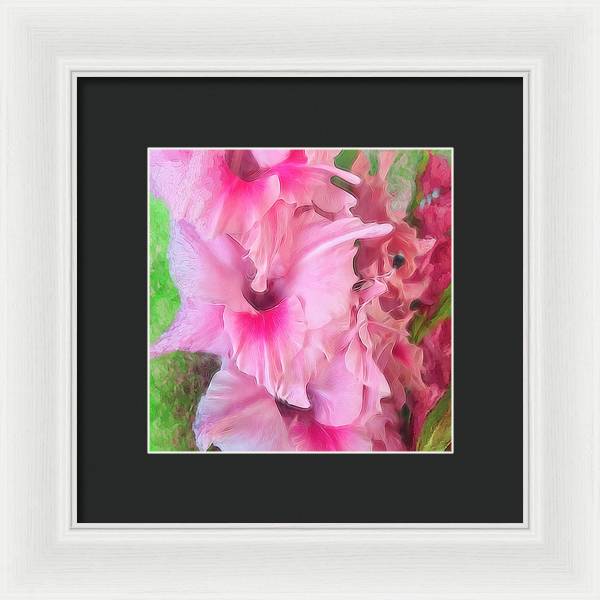 Light Pink Gladiolas - Framed Print