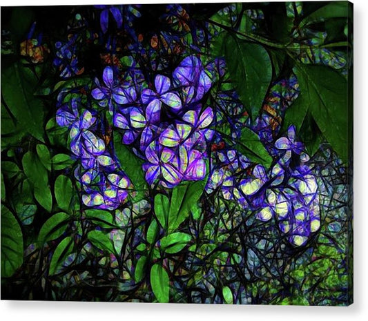 Lilac Abstract - Acrylic Print
