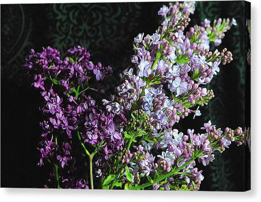 Lilacs Bouquet - Canvas Print