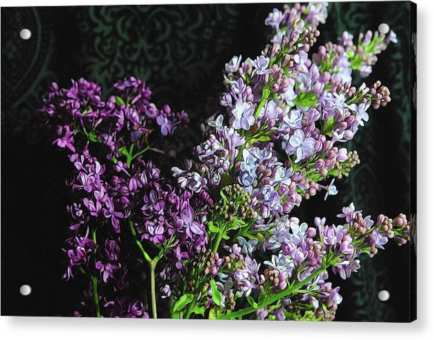 Lilacs Bouquet - Acrylic Print