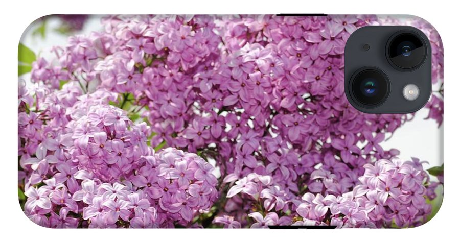 Lilacs With Sky - Phone Case