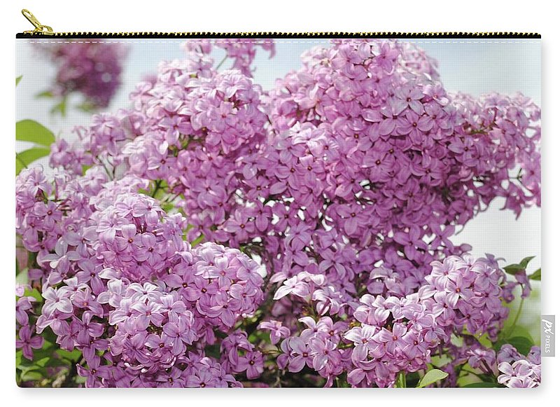 Lilacs With Sky - Carry-All Pouch