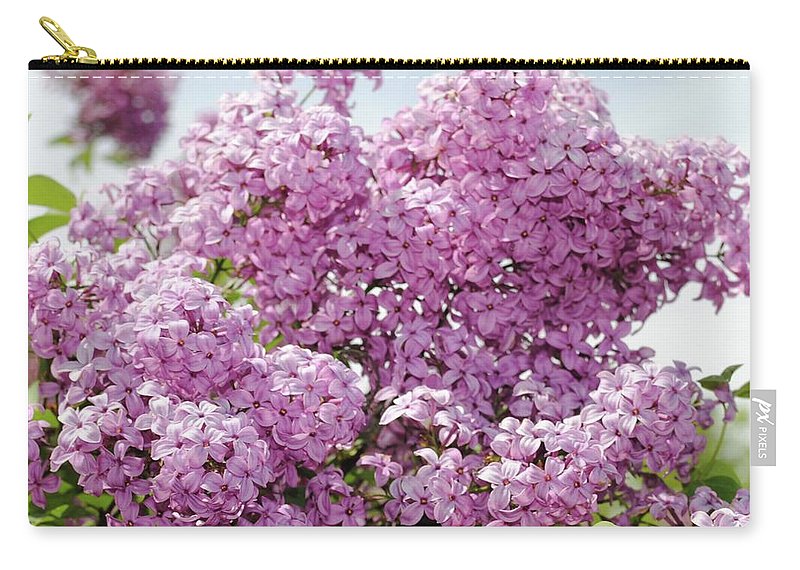 Lilacs With Sky - Carry-All Pouch