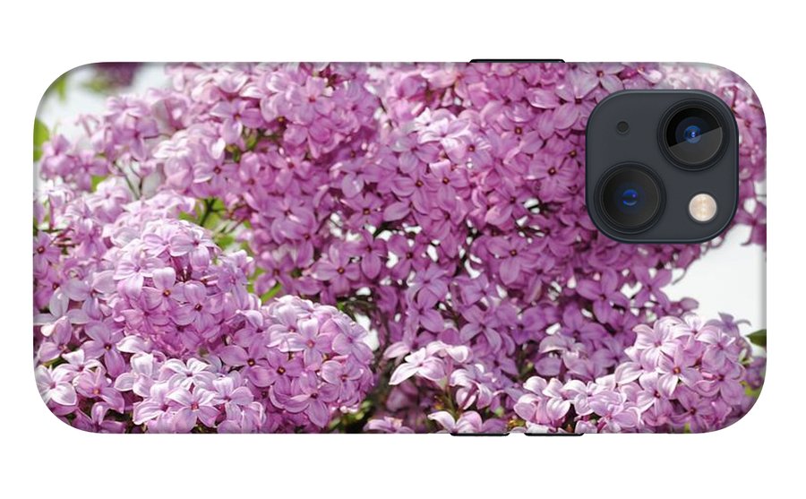 Lilacs With Sky - Phone Case