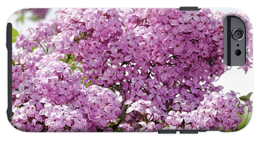 Lilacs With Sky - Phone Case