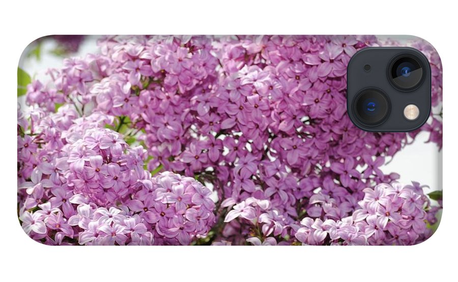 Lilacs With Sky - Phone Case