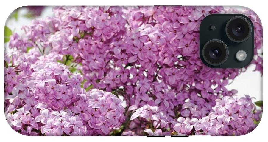 Lilacs With Sky - Phone Case