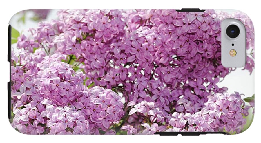 Lilacs With Sky - Phone Case