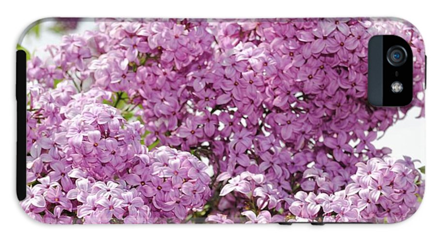 Lilacs With Sky - Phone Case