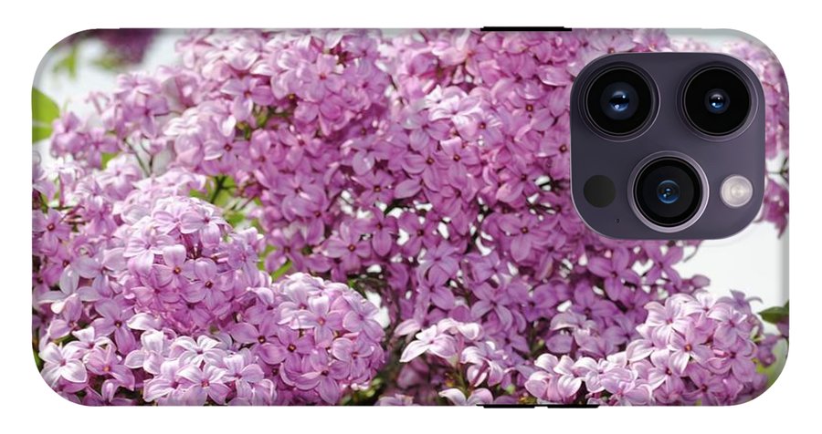 Lilacs With Sky - Phone Case