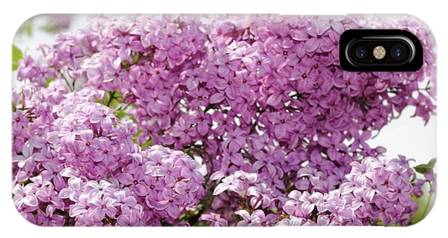 Lilacs With Sky - Phone Case