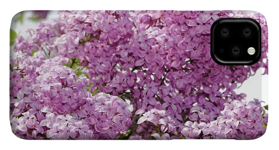 Lilacs With Sky - Phone Case