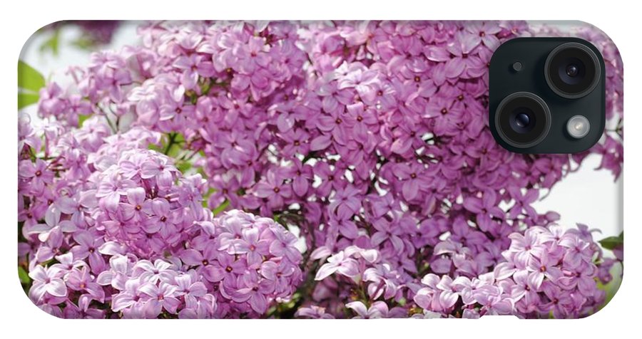 Lilacs With Sky - Phone Case