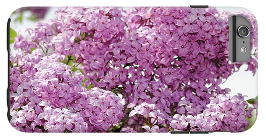 Lilacs With Sky - Phone Case