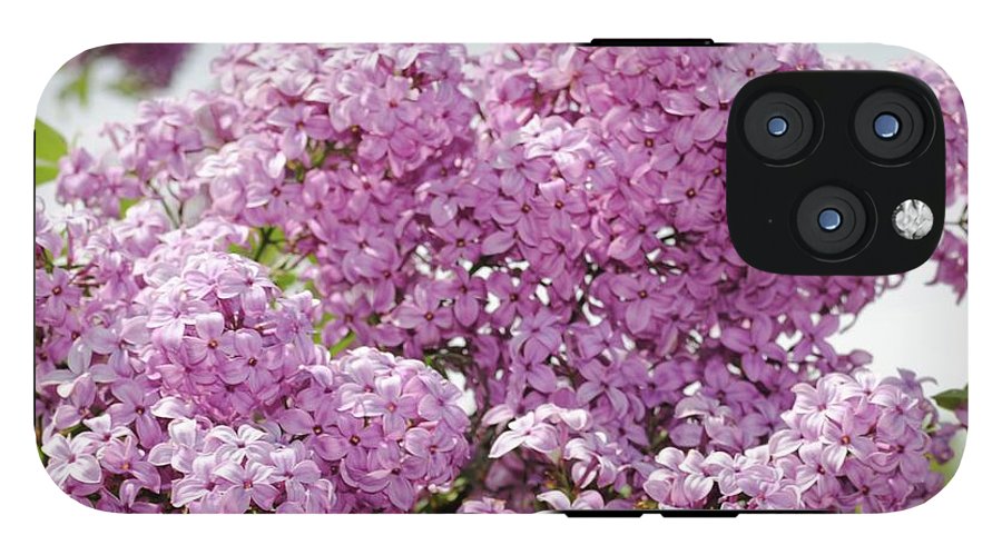 Lilacs With Sky - Phone Case